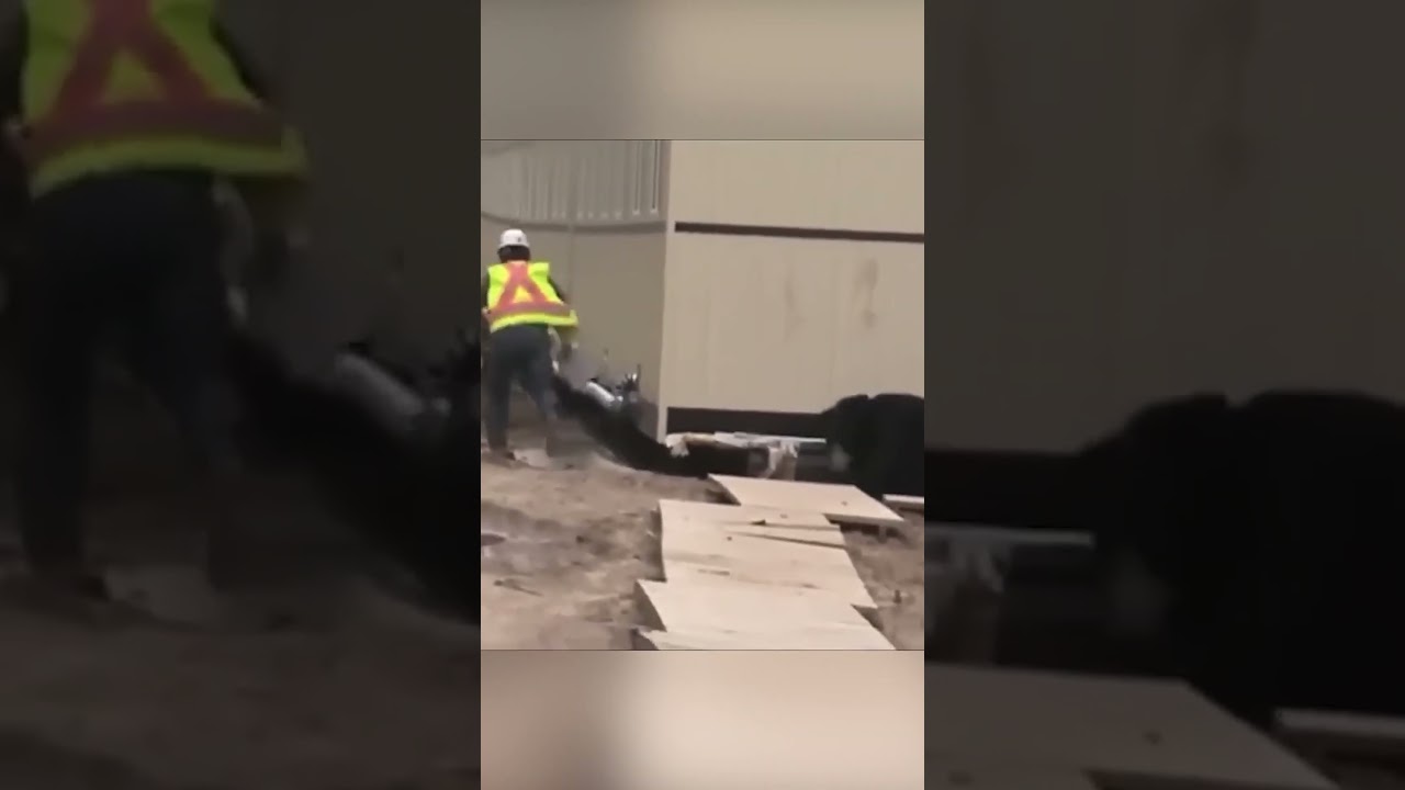 Construction Worker Brutal Bear Attack