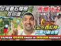 台灣人和印度人的區別菜市場||The difference between Taiwanese and Indian vegetable market ||TaindianDJ 台印DJ