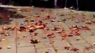 Pot Throwing in Corfu