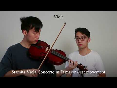 Violin vs Viola