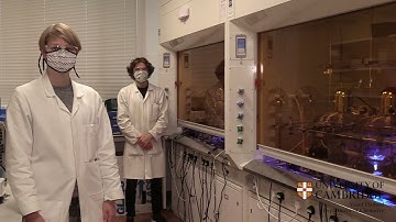 Virtual tour of the Gaunt labs