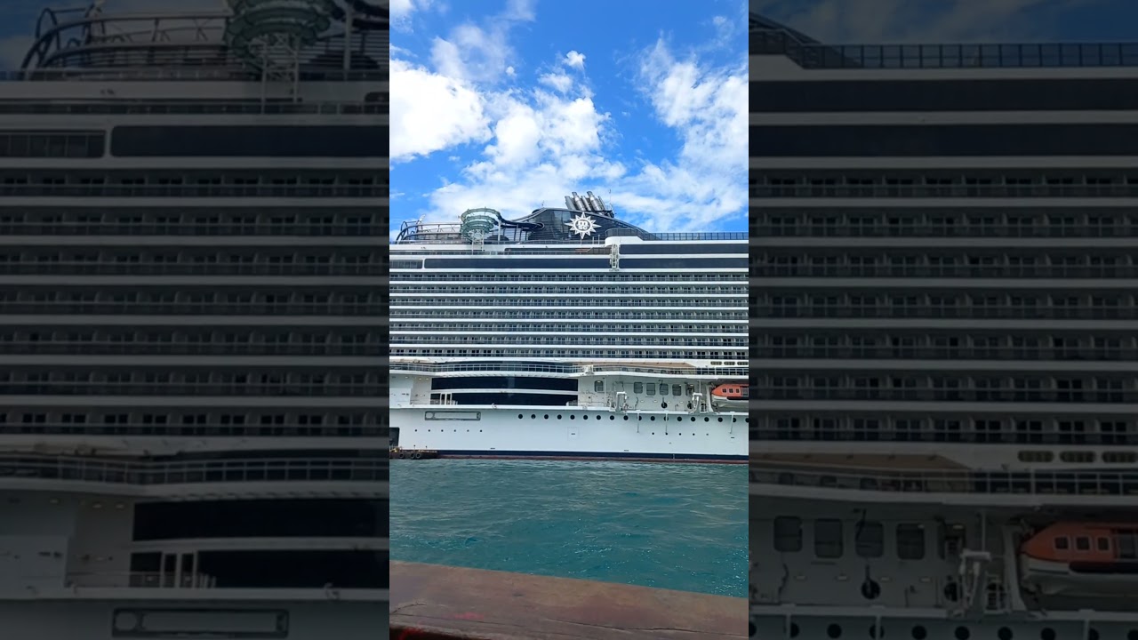 MSC SEAVIEW #shorts #short #viral #trending #subscribe #share #like #trend