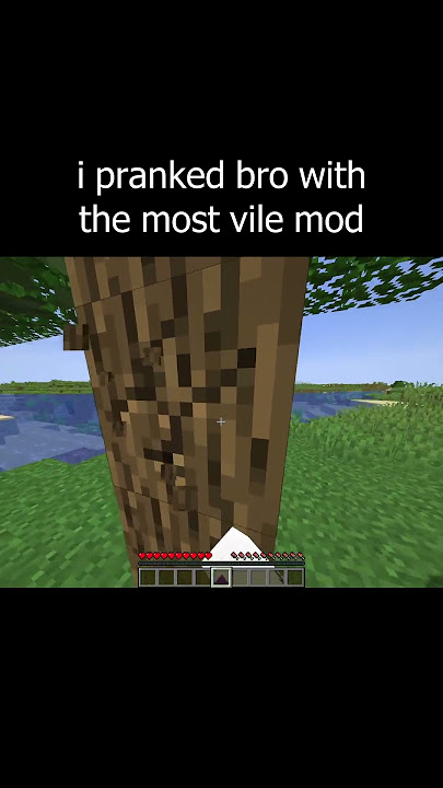 i pranked bro with the most vile mod known to man