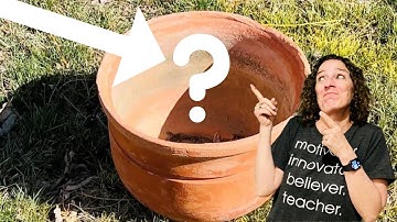 Cheapest Way to Fill Planters: Tips and Hacks