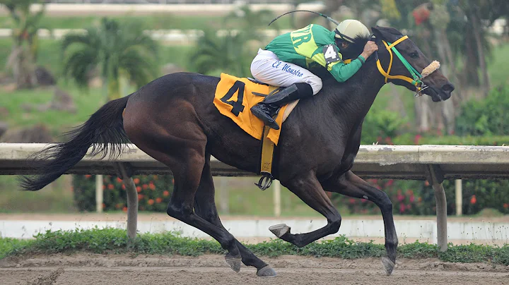 GRACIANI - Clsico Eugenio Mara De Hostos 2013