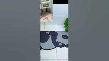 Cây chà sàn nhà tắm đa năng 2 trong 1, Chổi cọ sàn và gạt nước phòng tắm nhà vệ sinh lau kính tiện