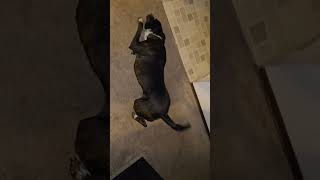 This Is What I Do After A Bath