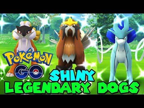 Video: Bestiile Legendare Raikou, Entei și Suicune Vin La Pok Mon Go Azi