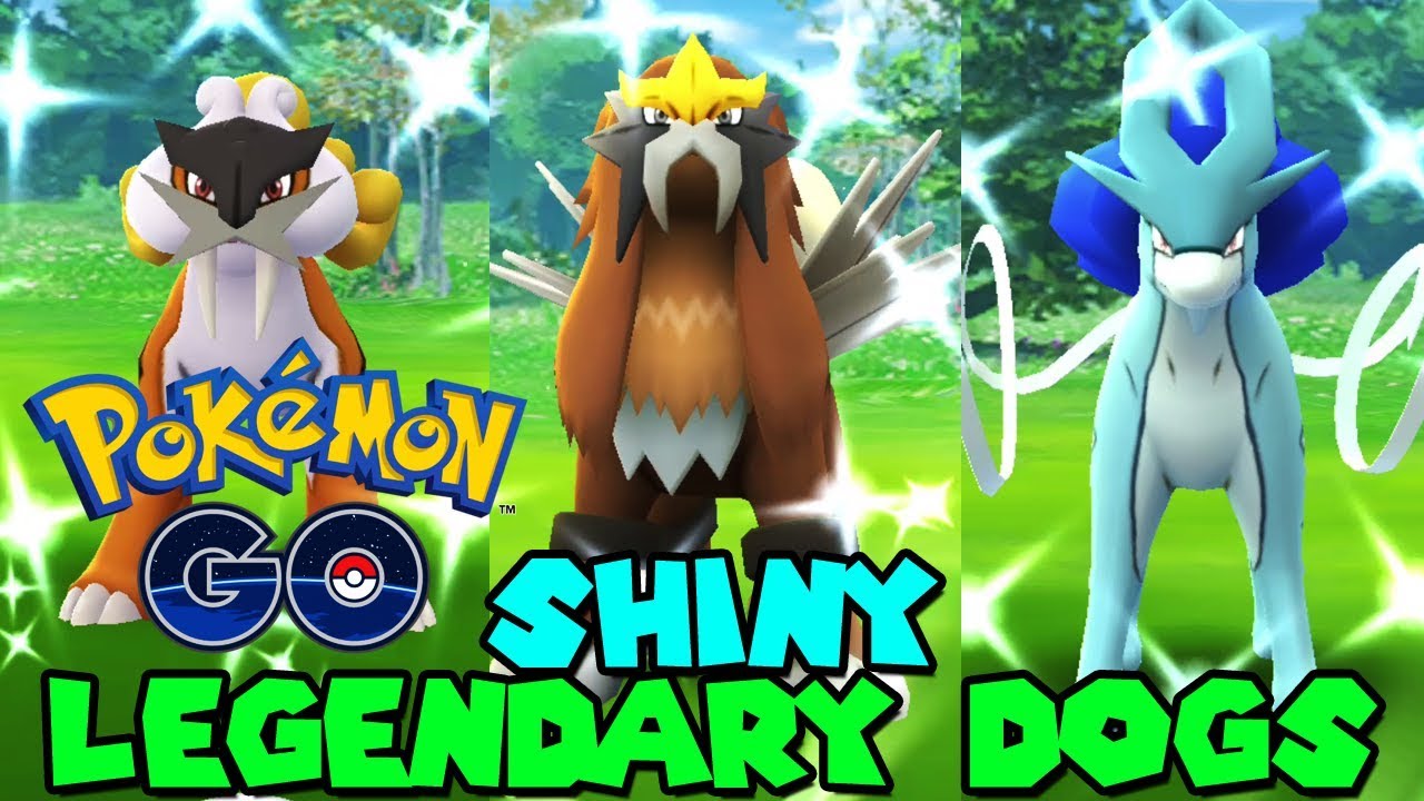 new Shiny raikou, shiny suicune, shiny entei raid started in pokemon go. 