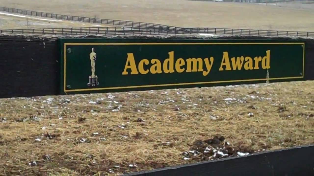 Acadamy Award Sign At Old Friends YouTube acadamy-award-sign-at-old-friends-youtube