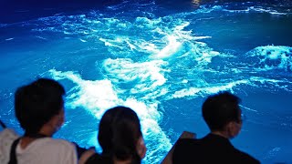 うずしおナイトクルーズ始まる