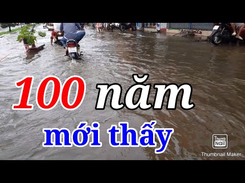 Nước Ngập Lịch Sử Tại Cà Mau - Mênh Mông Biển Nước - Linh 136 Vlogs Nước Ngập Lịch Sử Tại Cà Mau - Mênh Mông Biển Nước - Linh 136 Vlogs