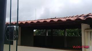 Arrumandodecorando Ficou Tudo Limpinho Da Aninha Lopes