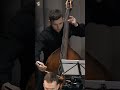 Tchaikovsky: Swan Lake Theme | Metamorphose String Orchestra