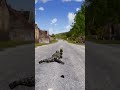 Solo Tank Ambush: Incredible Arma 3 Gameplay #arma3