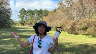 Trail Of Beauty And Relaxation In This Park