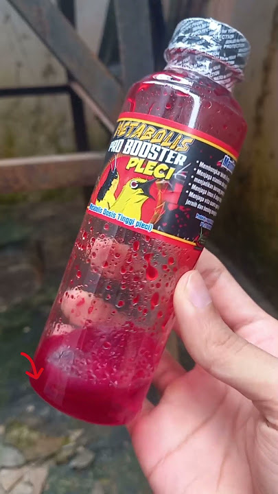 Metabolis Pro Booster Pleci Vitamin Burung Pleci Biar Cepat Buka Paruh
