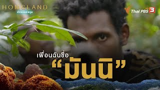 เพื่อนบ้านฉันชื่อ “มันนิ” | Homeland อัศจรรย์สตูล