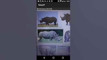 Android Machine Learning Image Classifier using TensorFlow