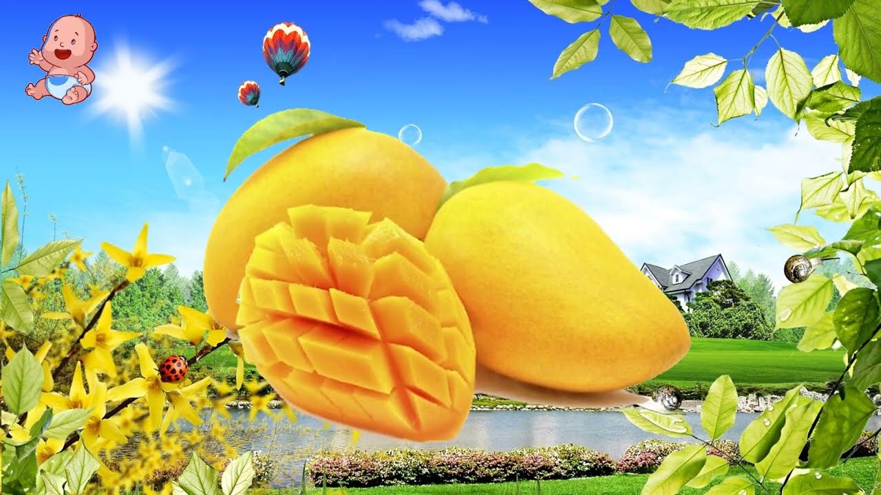 Câu đố vui cho bé - Đố các loại quả trái cây - Nhạc thiếu nhi vui nhộn