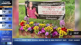Famous Plant City missing woman case to be focus of HCSO's first episode of new cold case podcast Wealth