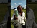 Molraxa agro chemicals           products  kushaq   crop  cumin