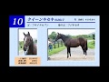 【2018年度[1歳馬]1次募集】 10 クイーンキセキの2017