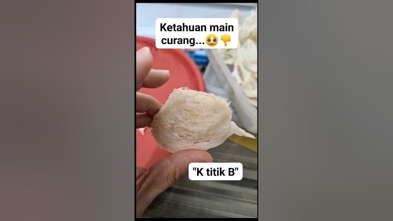 karyawan cabut yang ketahuan main curang #sarangburungwalet #viral #ktitikb karyawan cabut yang ketahuan main curang #sarangburungwalet #viral #ktitikb