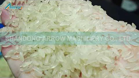 Lab type extruder for Nutrition/Instant/FRK Rice #RICE #FRK #NUTRITIONRICE