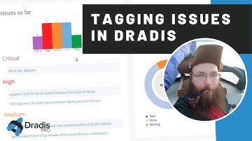 Use tags to identify the severity of security findings found during testing - Dradis Framework