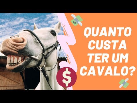 Vídeo: Como Manter Um Cavalo
