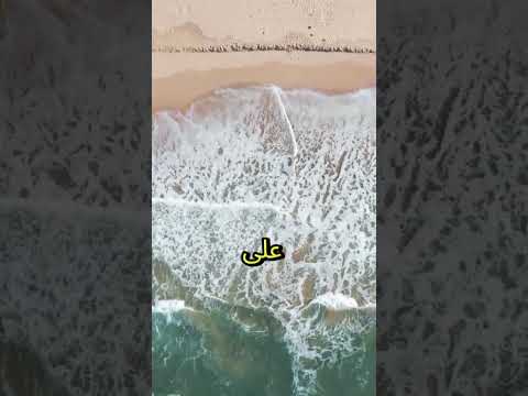 اللهم استعملنا ولا تستبدلنا اكسبلور اشتراك لايك ترند    