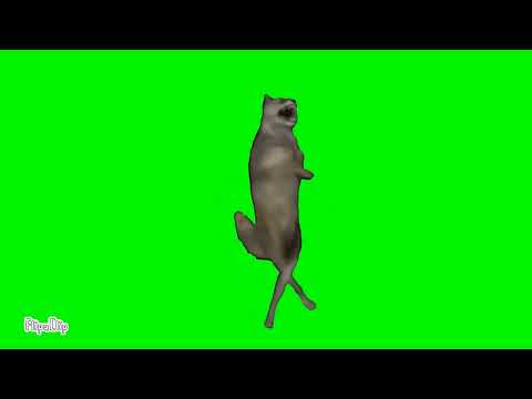 Wolf Dance Meme