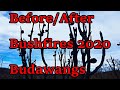 Corang River Circuit, Budawangs- Before &amp; After Bushfires 2020