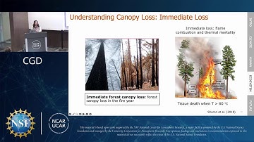 CGD Seminar- Huilin Huang, University of Virginia