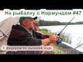 С фидером по высокой воде : На рыбалку с Нормундом #47