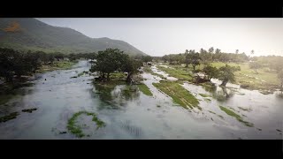 جمال طبيعة ظفار وادي دربات  ..خريف ظفار ٢٠٢١م.. سلطنة عمان  .. Oman-Dhofar