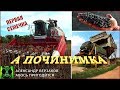 Началось в колхозе утро 5/33. Первая семечка.