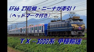 【HM付！】EF66 27号機牽引！ TX-3000系 甲種輸送 【ニーナ！】