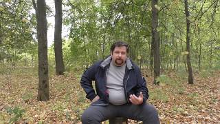 видео: Обойтись без отношений. Возможно ли? картинка: Обойтись без отношений. Возможно ли?