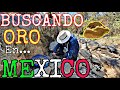 Buscando ORO En El RIO 2021 GOLD HUNTING MEXICO