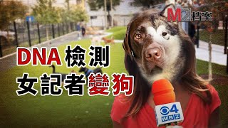 想知道愛犬品種記者覺得檢測不靠譜寄出自己的DNA結果她變成了狗還是個串兒