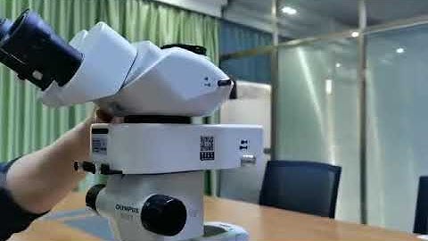 LED fluorescence illuminator for stereo fluorescence microscope