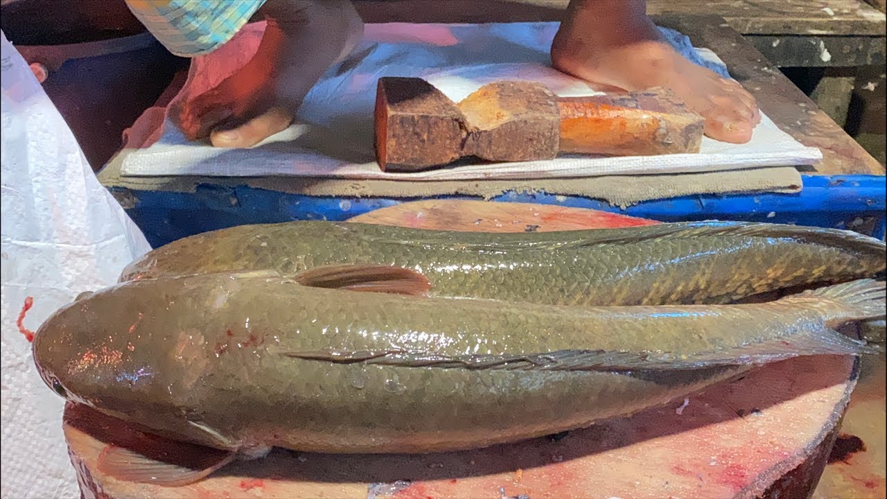 Real Fish Blogger // "Skill in cutting different types of fish 🐟🔪🐠🔪"