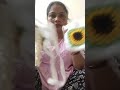 Live highlight