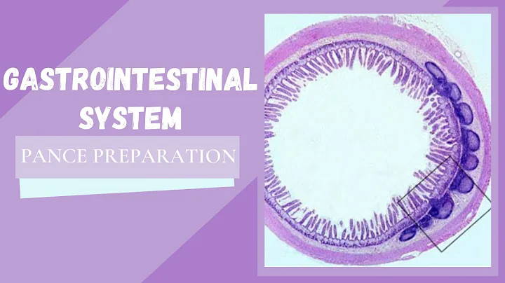 Gastrointestinal System: PANCE Preparation