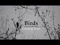 Birds A year on the Wing - Teaser