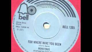 Video thumbnail of "Honeybus - For where have you been (magical folk pop)"