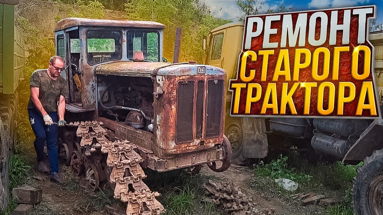 Гусянки на машину