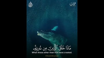 #المنشاوي هذا خلق الله #تلاوة_خاشعة #اكسبلور #المصحف #المنشاوي #قرآن